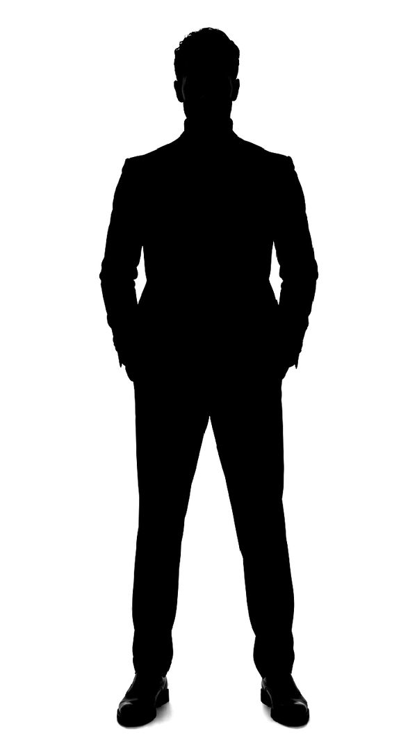 The Digital Presence Executive