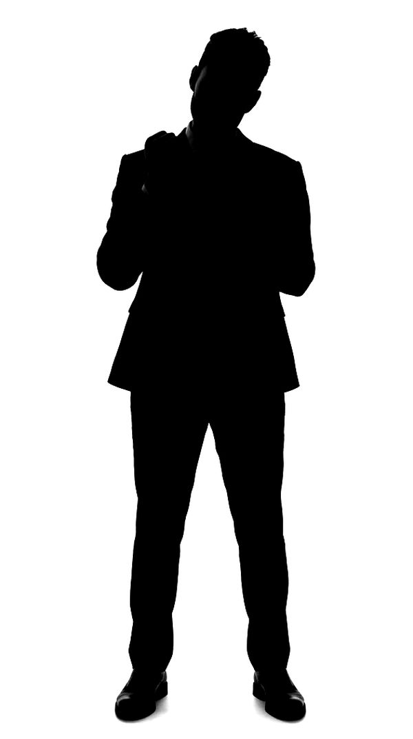 The Sales Executive